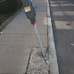 Sidewalk Repair at 69–89 Saint Mary's St