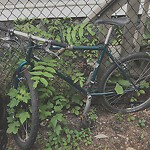 Abandoned Bike at 114 Brook St