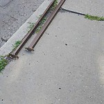 Sidewalk Repair at 100 Columbia St