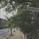 Public Trees at 496 Washington St