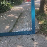 Sidewalk Repair at 130 Aspinwall Ave