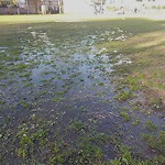 Park Playground at N42.33 E71.12