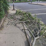 Sidewalk Repair at 160 Mountfort St