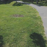 Park Playground at Cypress St Opp Henry St