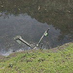 Abandoned Bike at 440 Park Dr