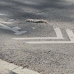 Sidewalk Repair at 1600 Q Beacon St