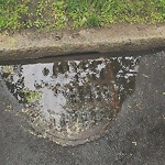 Sidewalk Repair at 99 Babcock St