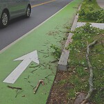 Sidewalk Repair at 156 Babcock St