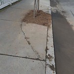 Sidewalk Repair at 97–137 Brook St