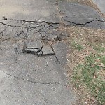 Sidewalk Repair at 25 Asheville Rd, Chestnut Hill