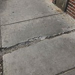 Sidewalk Repair at 299 Harvard St