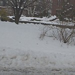 Unshoveled/Icy Sidewalk at 282 Kent St