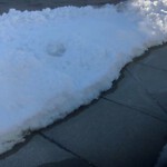 Unshoveled/Icy Sidewalk at 35 Sheafe St, Chestnut Hill