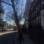 Damaged Sign at 86 Toxteth St