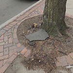 Sidewalk Repair at 408 Harvard St