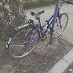 Abandoned Bike at 217–227 High St