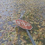 Damaged Sign at 2–44 Lowell Rd