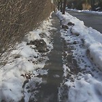 Unshoveled/Icy Sidewalk at 110 Middlesex Rd, Chestnut Hill