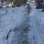 Unshoveled/Icy Sidewalk at 137 Middlesex Rd, Chestnut Hill