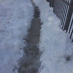 Unshoveled/Icy Sidewalk at 203 Mason Ter