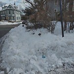 Unshoveled/Icy Sidewalk at 1 Vogel Terrace