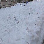 Unshoveled/Icy Sidewalk at 72 Toxteth St