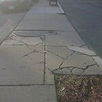 Sidewalk Repair at 77 Mason Terrace