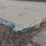 Sidewalk Repair at 99 Marion St