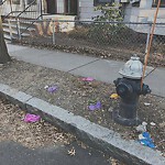 Sidewalk Repair at 22 24 University Rd