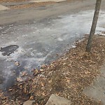 Sidewalk Repair at 31 Grassmere Rd, Chestnut Hill