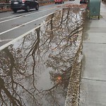 Sidewalk Repair at 1500 Beacon St