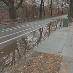 Sidewalk Repair at 1500 Beacon St