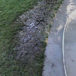 Park Playground at 1–99 Emerson St