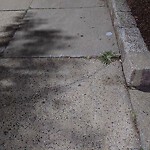 Sidewalk Repair at N42.34 E71.13