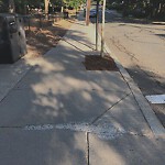 Sidewalk Repair at 57 Francis St