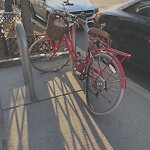 Abandoned Bike at 1046 Beacon St