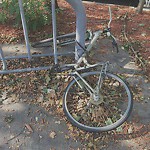 Abandoned Bike at 227 A Cypress St