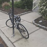 Abandoned Bike at 195 Davis Ave