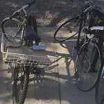 Abandoned Bike at 410–428 Chestnut Hill Ave