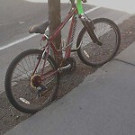 Abandoned Bike at 13 27 Winchester St Brookline