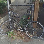 Abandoned Bike at 120 University Rd