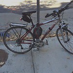 Abandoned Bike at 69 Babcock St