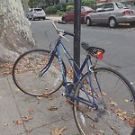 Abandoned Bike at 6 Beals St