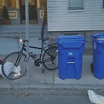 Abandoned Bike at 22 Homer St Brookline